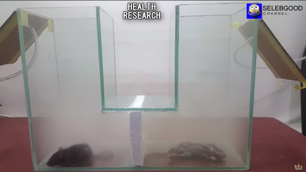 Vaping Safety 3 Vape LabTest RAT 2