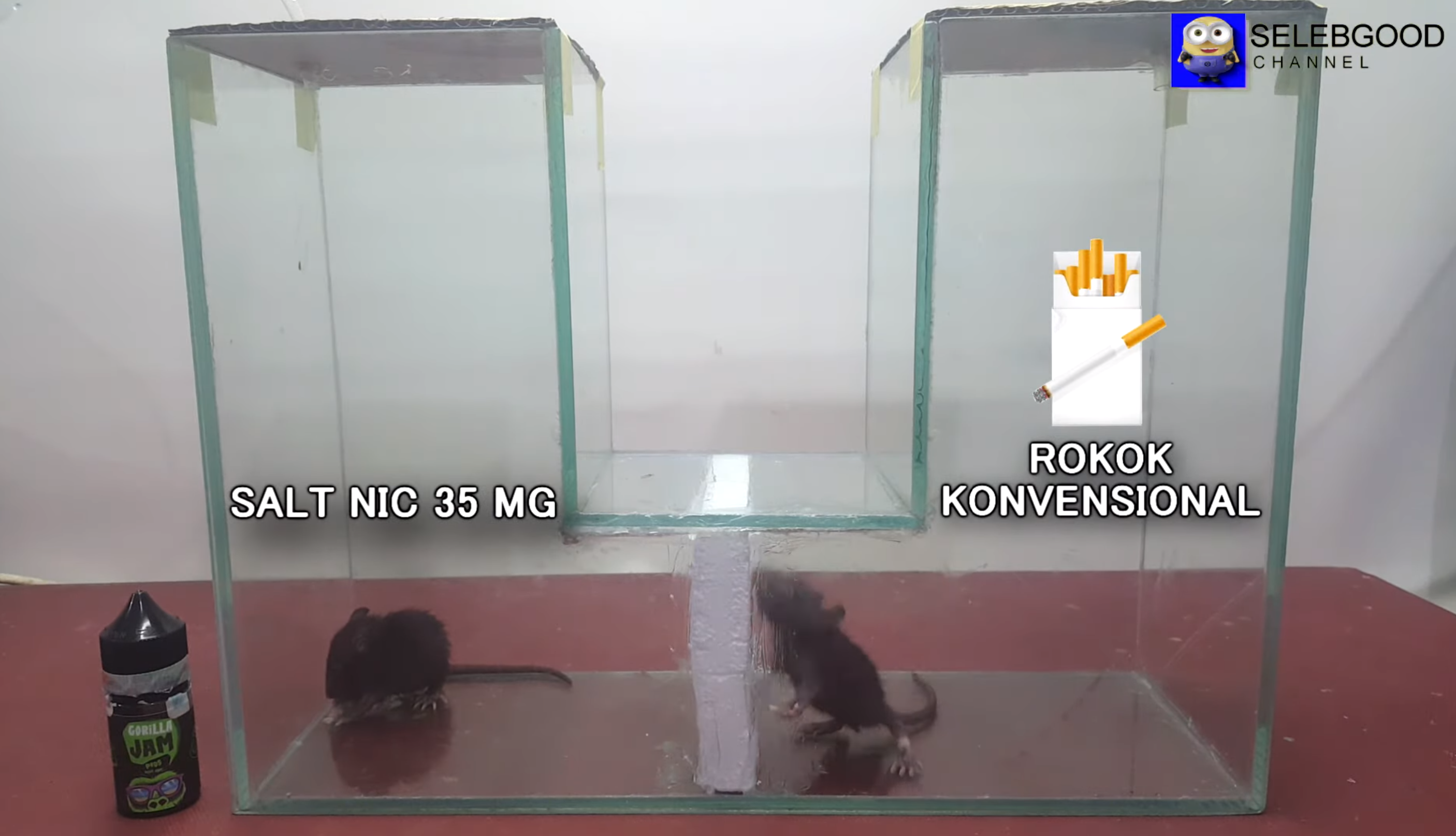 Lab Test Vaping vs Cigarette Smoking