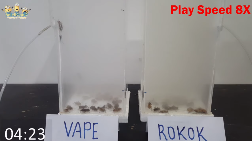 Vaping Safety 2 Vape LabTest ROACHES